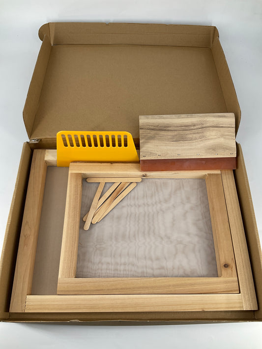 Screen Printing Starter Kit